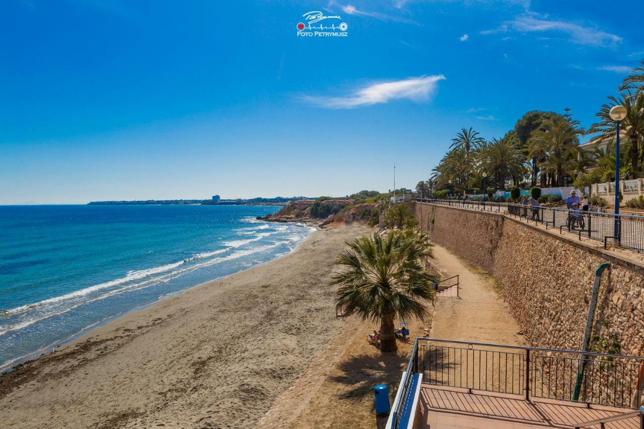 Apartamento "Blue" Muy Cerca Del Mar 托雷维耶哈 外观 照片